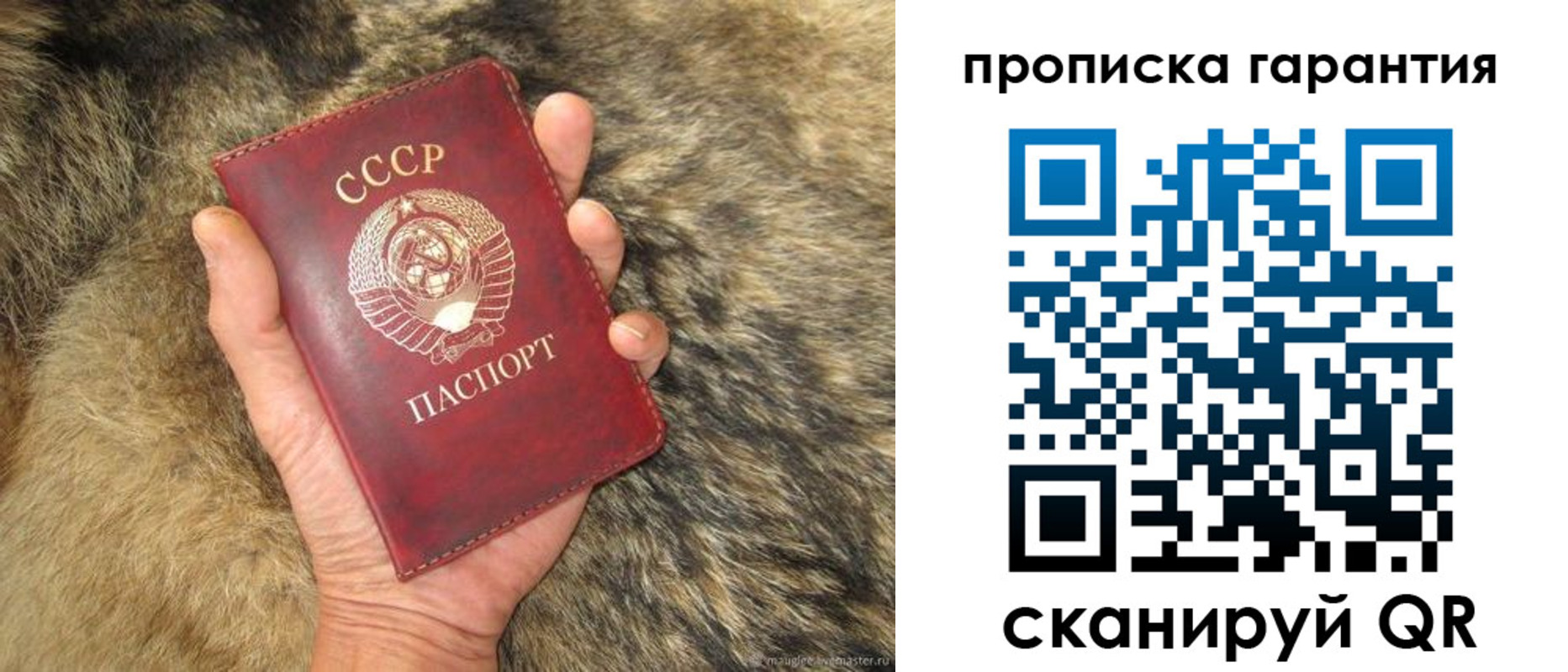 временная регистрация гарантия в Миллерово